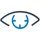 Iris Scan Icon